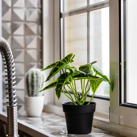 Lägenhet Guestready - Charming Getaway By Madeira's Nature