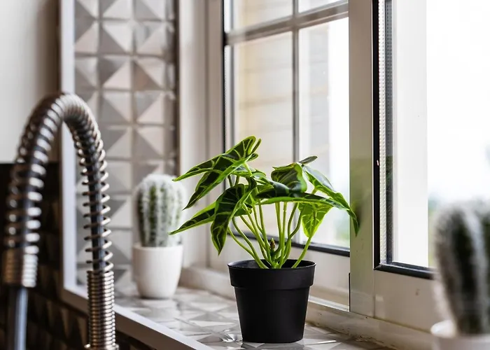 Apartmán Guestready - Charming Getaway By Madeira's Nature